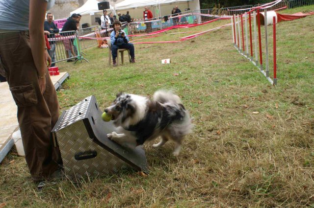 foire-haricots 2011-09-17et18